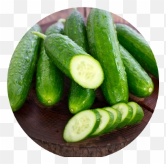 Ingredients U2013 Mad Rabbit Tattoo - Expired Cucumber png