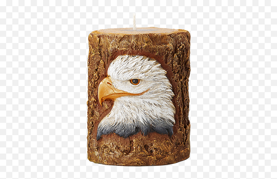 Eagle Totem Candle - Bald Eagle Png,An Image Which Has Become A Totem And Icon Of The Times