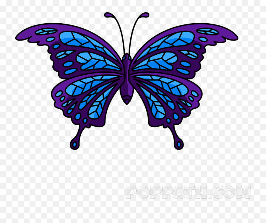 How To Draw A Butterfly Tattoo U2013 Pop Path - Pop Butterfly Tattoo Png,Butterfly Tattoo Png
