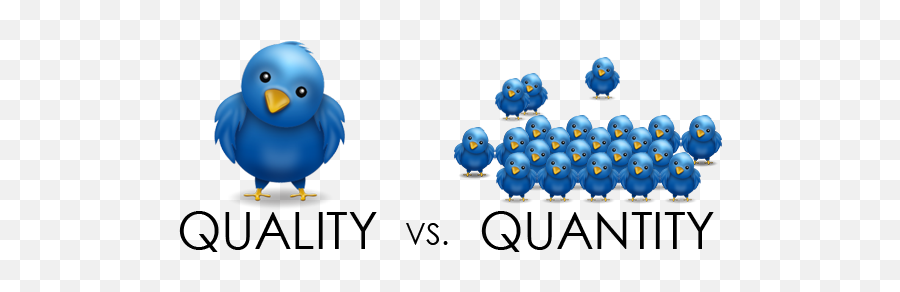 Quality Vs Quantity Of Followers U2014 D William Landsborough Png Graphic Icon