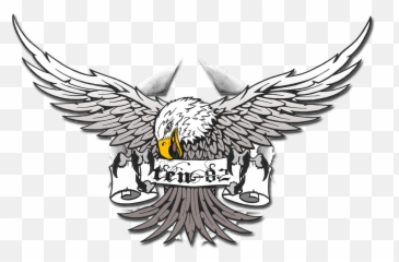 Download - Bald Eagle Bald Eagle Transparent Eagle Png,Bald Eagle Transparent