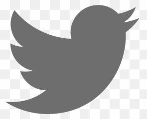 Logo Twitter Negro Png 8 Image - Red No Background