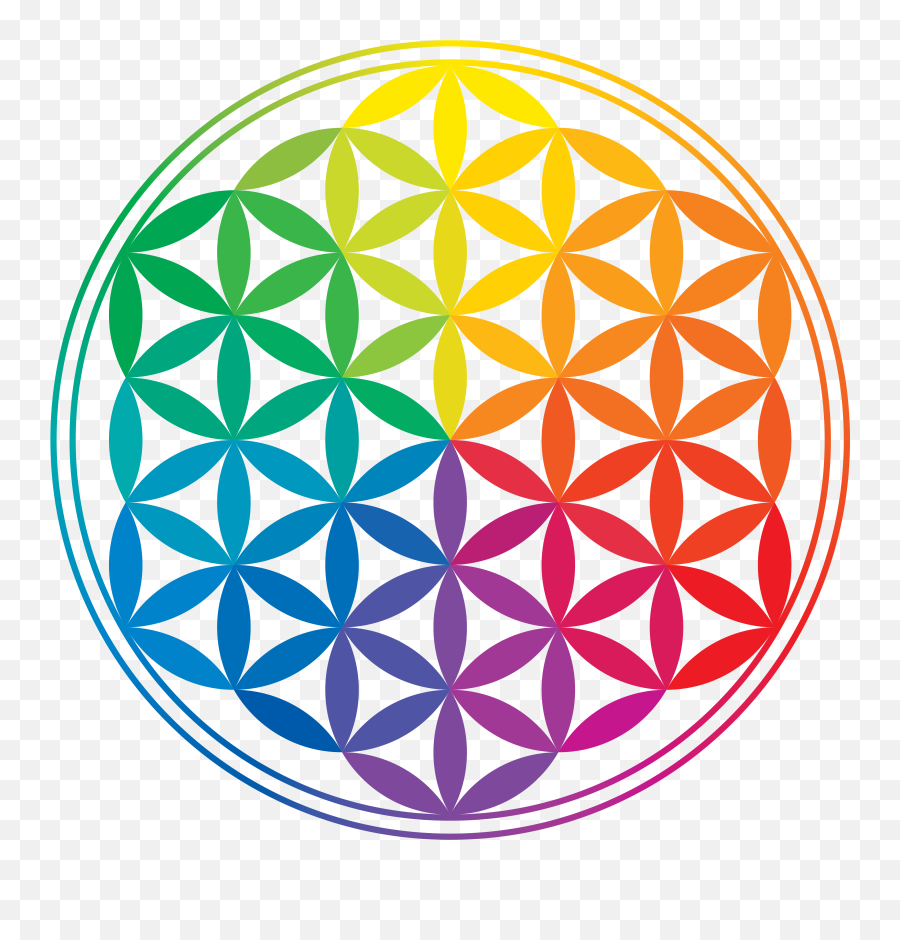Yoga Therapy For Total Wellbeing - Rainbow Flower Of Life Png,Flower Of Life Png