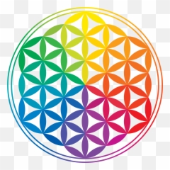 Yoga Therapy For Total Wellbeing - Rainbow Flower Of Life Png,Flower Of Life Png