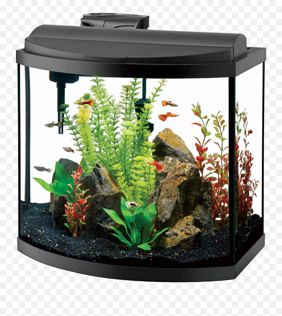 Aquarium Png Images Free Download - Aqueon Aquariums,Fish Tank Png