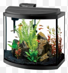 Aquarium Png Images Free Download - Aqueon Aquariums,Fish Tank Png