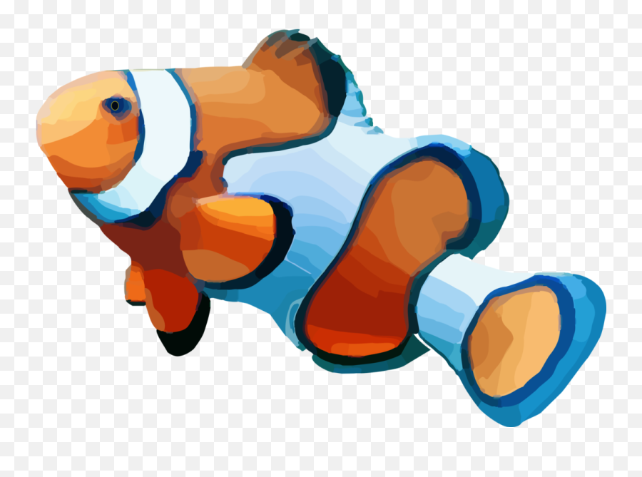 Anemone Fishfishanimal Figure Png Clipart - Royalty Free Clown Fish With No Background,Anemone Png