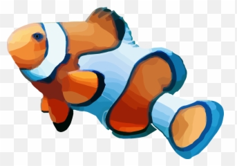 Anemone Fishfishanimal Figure Png Clipart - Royalty Free Clown Fish With No Background,Anemone Png