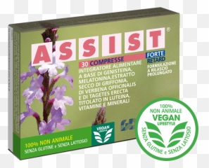 Download Hd Assist Forte Retard - Cattleya Png,Retard Png