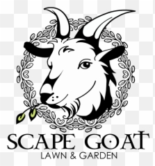 Goat Head Vector Png Transparent - Clipart Goats Head Png,Goat Head Png