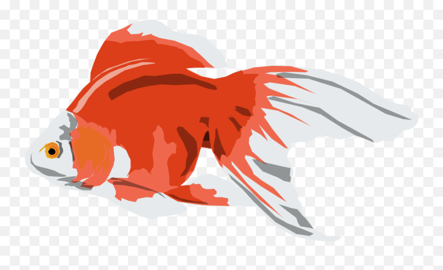 Goldfish Png Clip Arts For Web - Ikan Mas Koki Animasi,Goldfish Png
