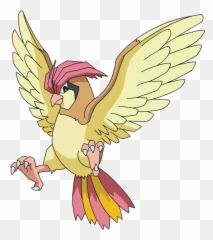 Pidgeotto - Pidgeotto Pokemon Png,Pidgey Png