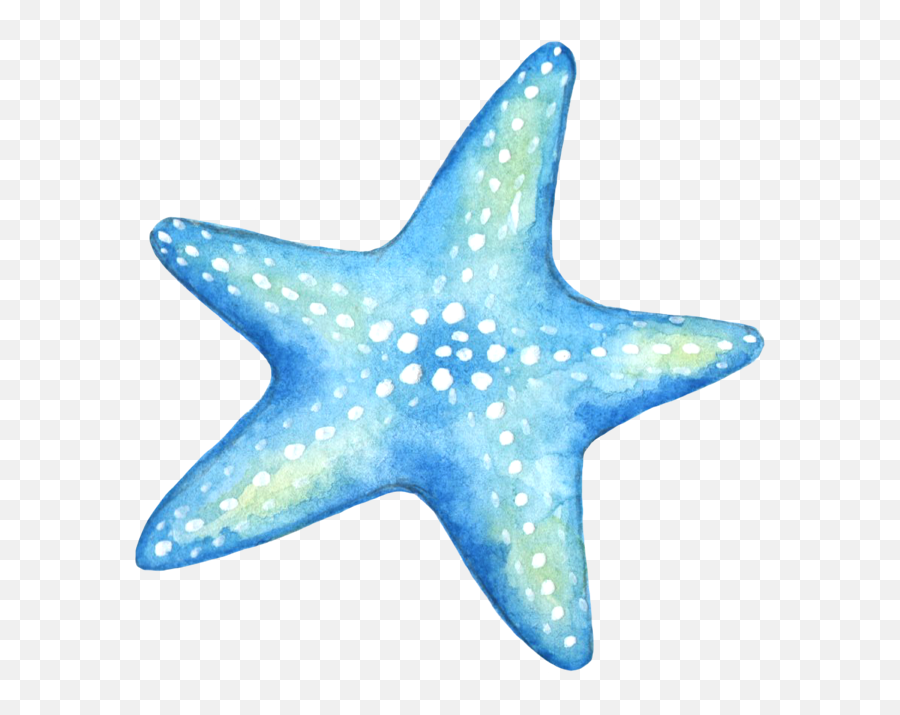 Starfish Blue Star Stickers Sticker Png Logo
