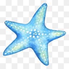 Starfish Blue Star Stickers Sticker Png Logo