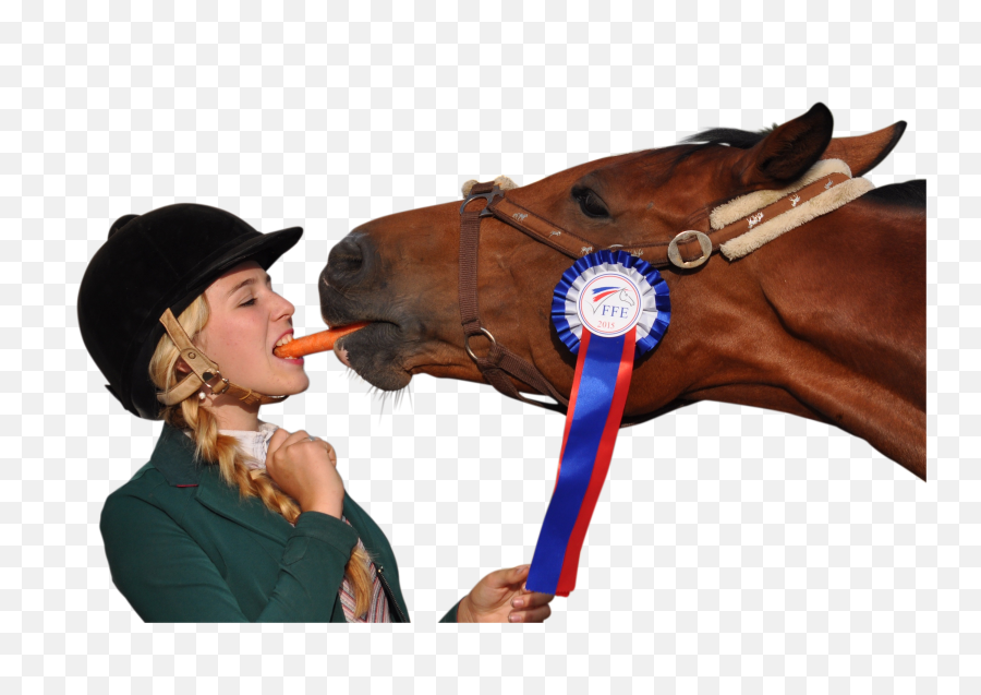 Girl Eating Carrot With Horse Png Image - Horse And Girl Eating Carrot,Eating Png