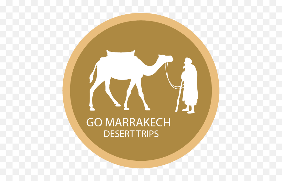 Ride A Camel In Marrakech Palm Grove - Arabian Camel Png,Camel Logo