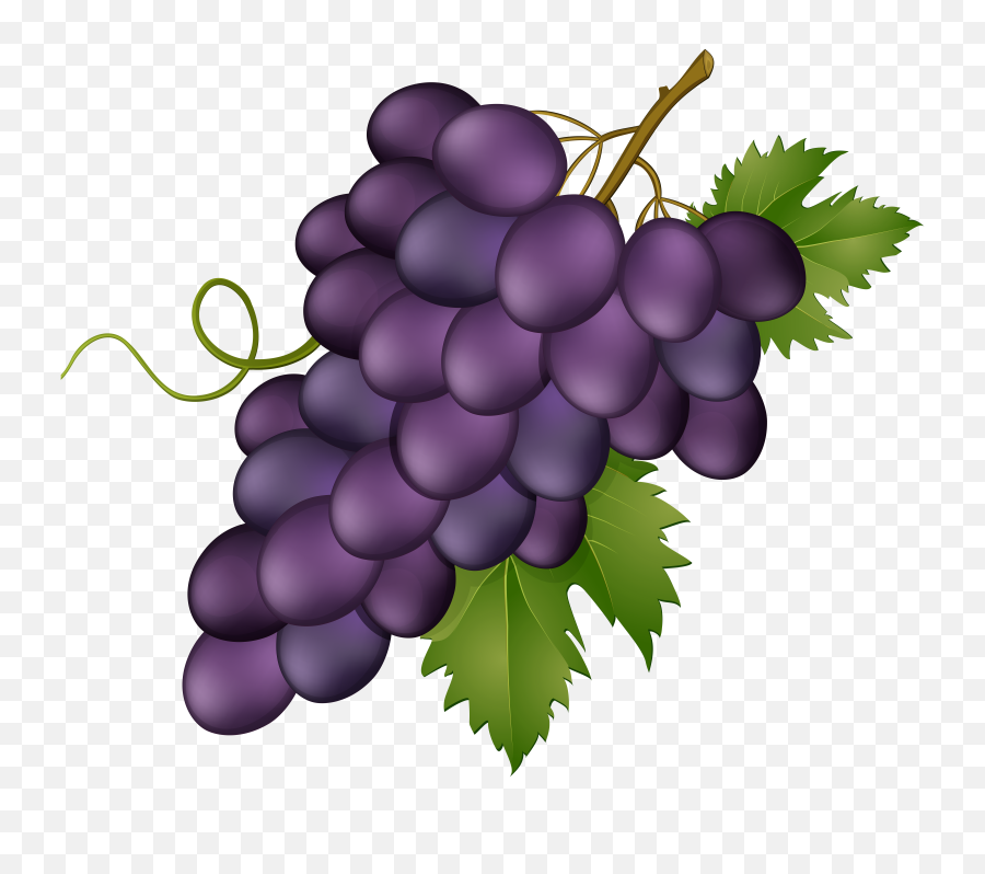 Transparent Png And Vectors For Free Download - Dlpngcom Transparent Background Grapes Clipart,Jacksepticeye Png