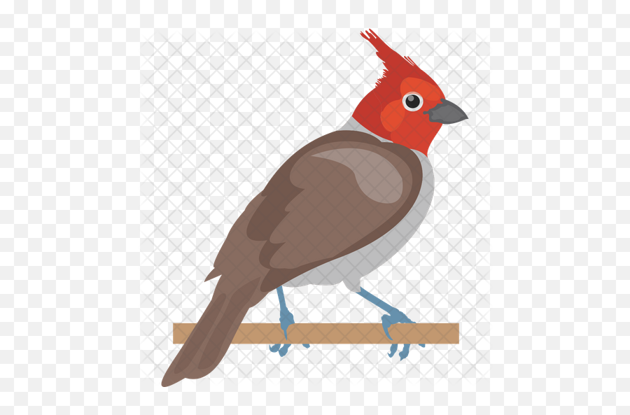 House Sparrow Icon - Northern Cardinal Png,Cardinal Png