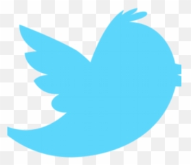 Granor Granord Twitter - Name Logo Png
