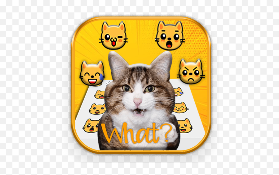 Crazy Cats Emoji Stickers Apk 20 - Download Apk Latest Version Png,Neko Atsume App Icon