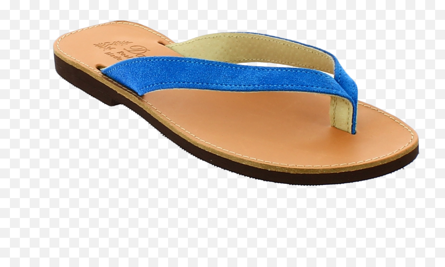 Download Antrin Womenu0027s Flat Sandals - Flipflops Full Png,Flip Flops Png