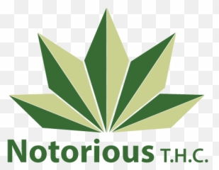 Logo Design For Notorious T - Illustration png