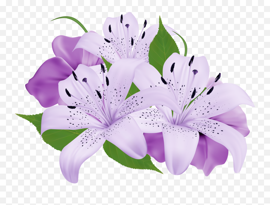Library Of Lily Flower Clip Stock Png - Purple Flower Clip Art,Lilies Png