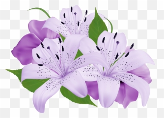 Library Of Lily Flower Clip Stock Png - Purple Flower Clip Art,Lilies Png