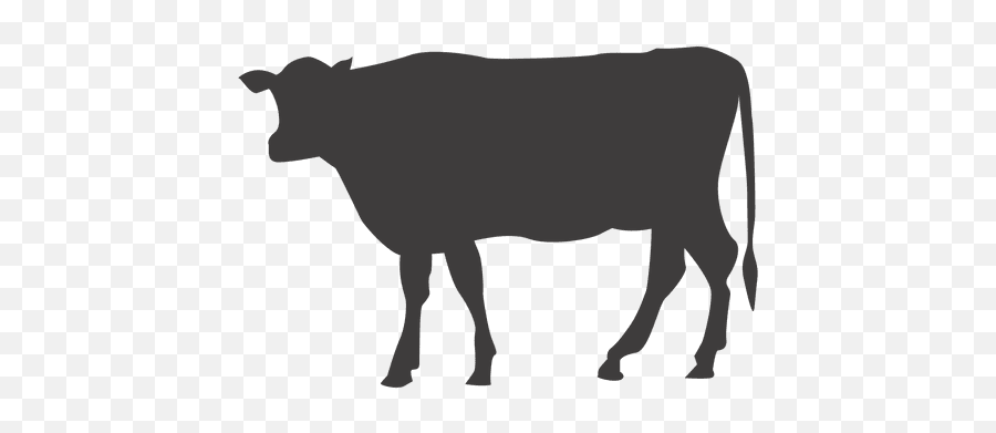 Cow Walking Silhouette - Transparent Png U0026 Svg Vector File Black Png Transparent Cow Silhouette Png,Cow Transparent Background
