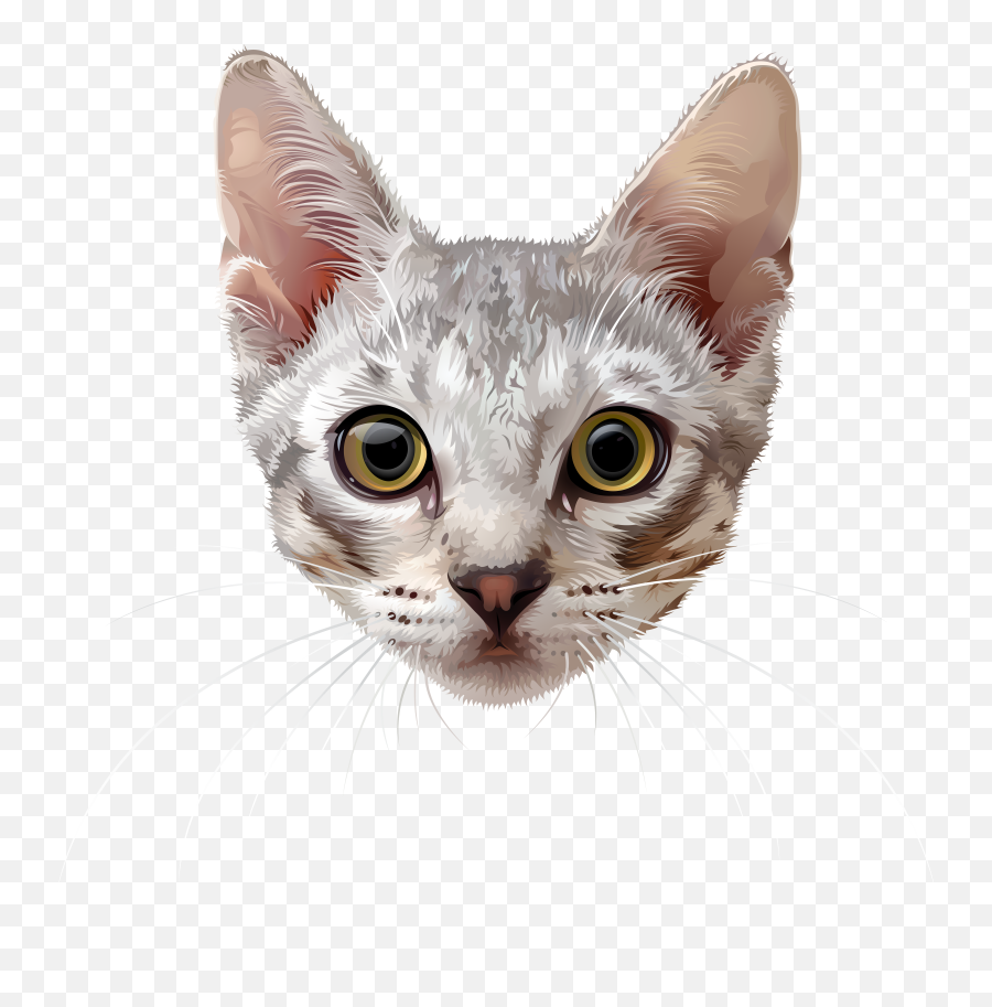 Cat Face Png Transparent Background