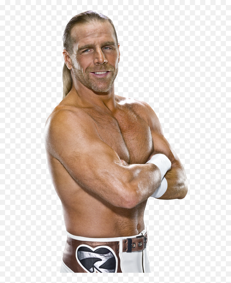 Randy Orton Rko Png - Shawn Michaels Png,Triple H Png