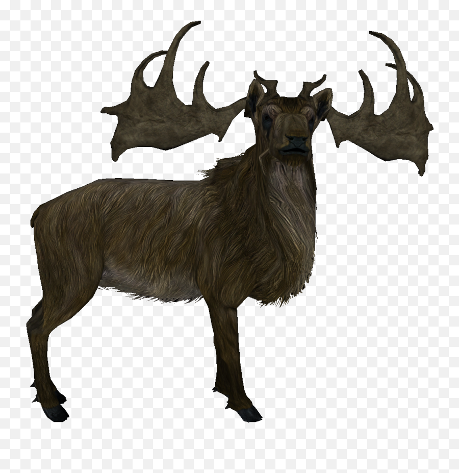 Elk - Skyrim Deer Png,Elk Png