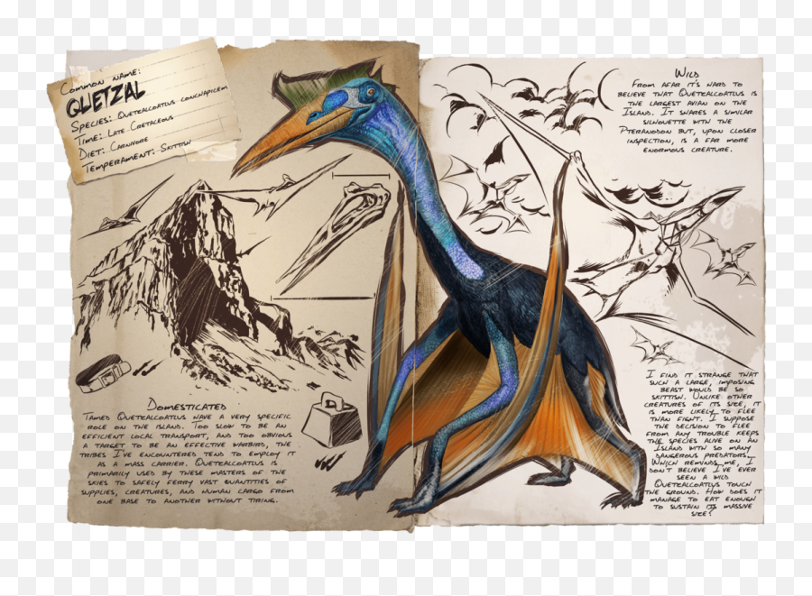 Survival Evolved Wiki - Quetzal Ark Png,Ark Survival Evolved Png