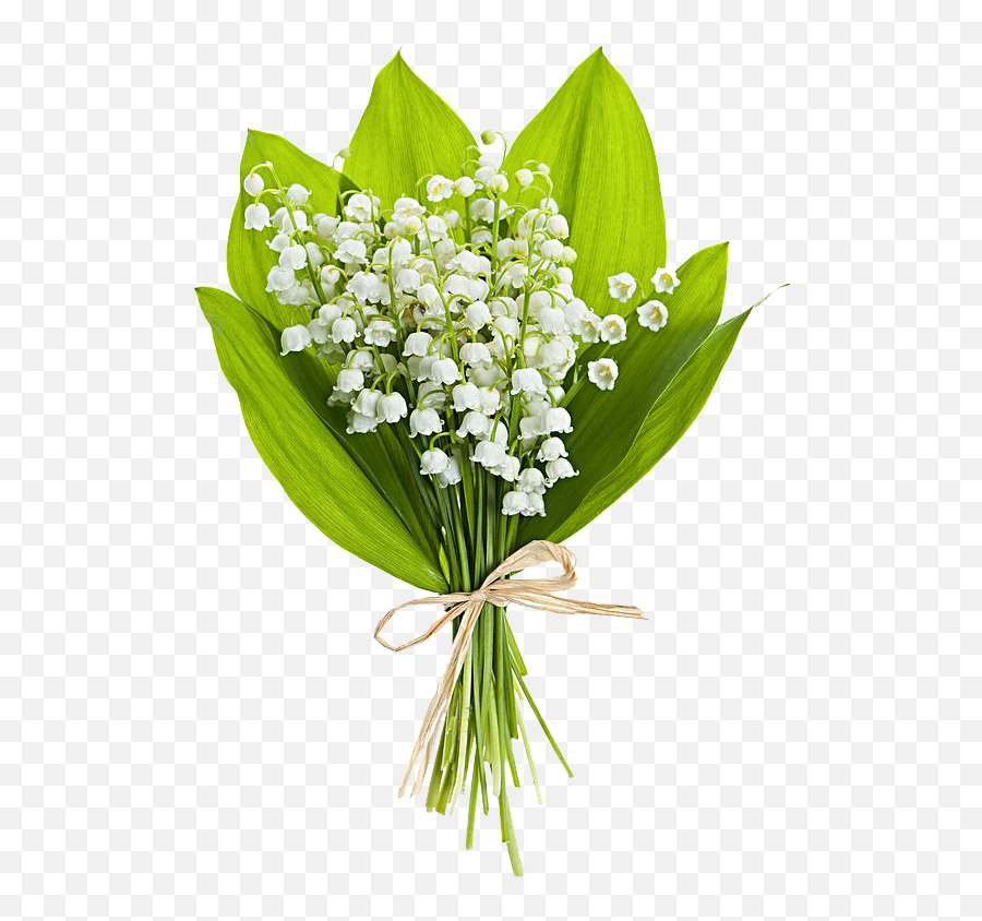 Bouquet Vector Pink White Picture - Free Photos Lily Of The Valley Png,Lily Of The Valley Png