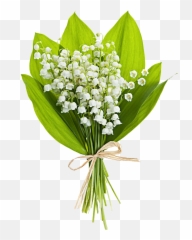 Bouquet Vector Pink White Picture - Free Photos Lily Of The Valley Png,Lily Of The Valley Png