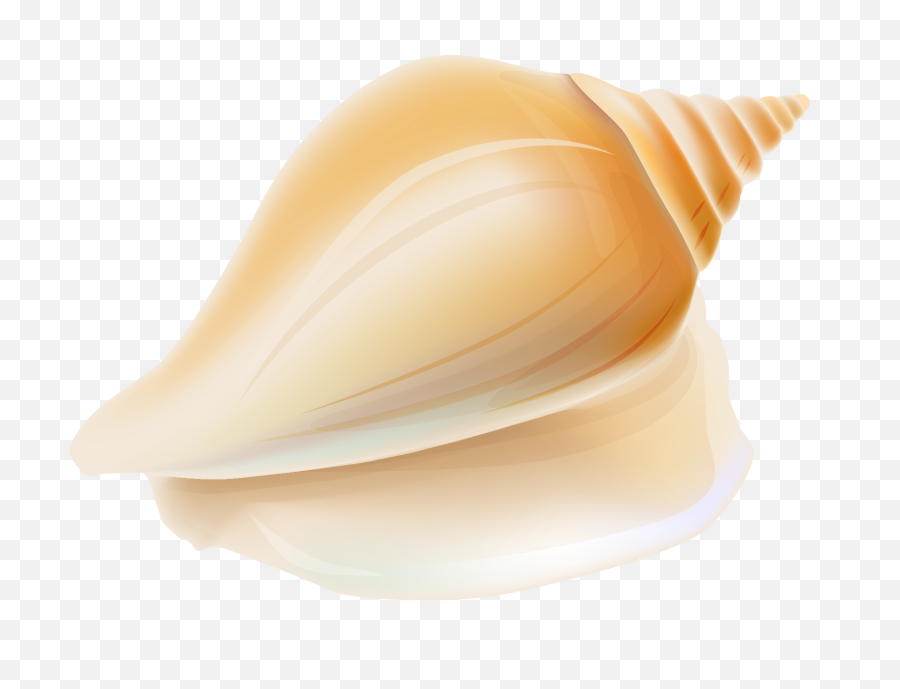 Pin By Judy Liber - Beach Ocean Seashell Transparent Conch Shell Clipart Png,Under The Sea Png