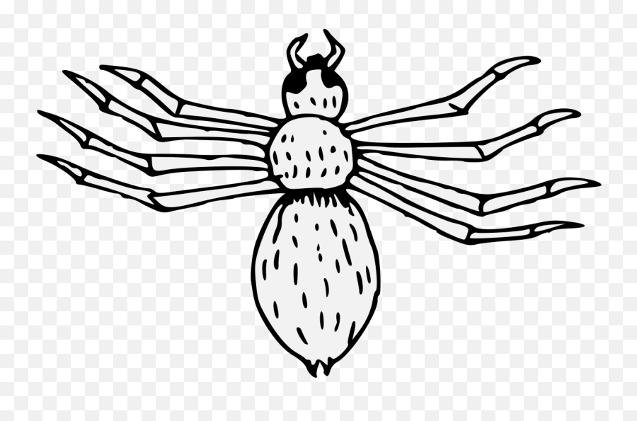 Spider - Traceable Heraldic Art Clip Art Png,Spiders Png