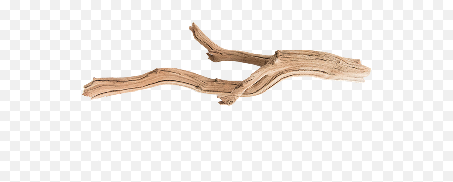 Driftwood Small - Twig Png,Driftwood Png