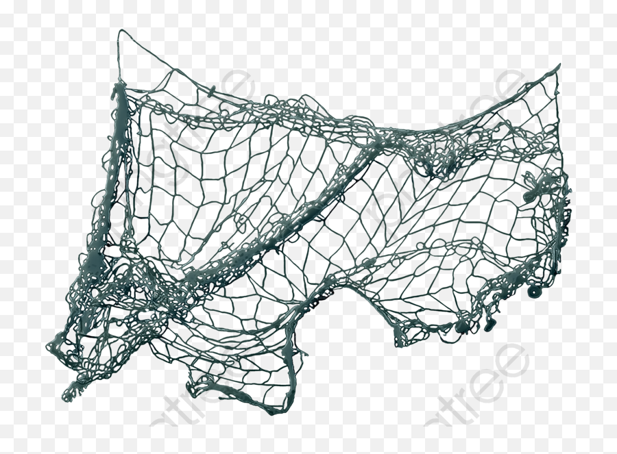 A Picture Of Fishing Net - Fishing Net Png Transparent Background,Fishing Net Png