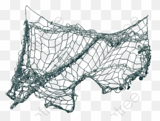 A Picture Of Fishing Net - Fishing Net Png Transparent Background,Fishing Net Png