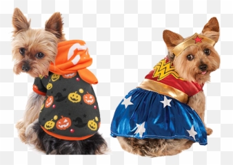 Halloween Christmas - Yorkie With Hotdog Costume Png,Yorkie Png