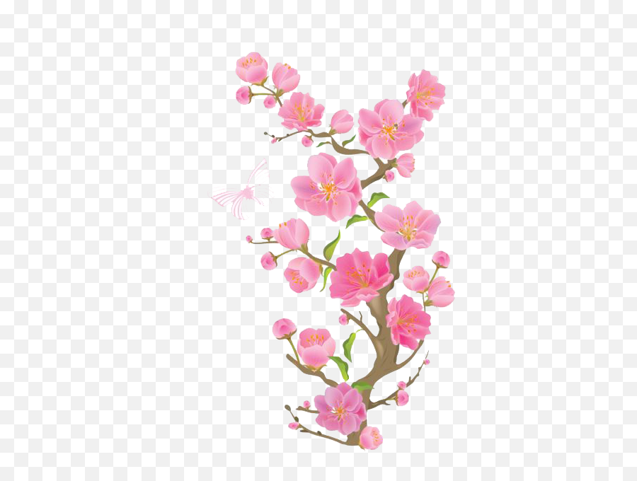 Cherry Blossom Transparent Background - Keep A Calm And Be Happy Png,Spring Background Png