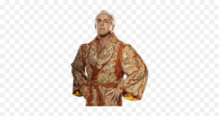 Ric Flair Pro Wrestling Fandom - Ric Flair Cut Out Png,Flair Png