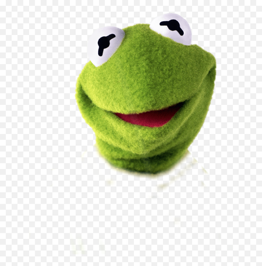 Real Life Kermit The Frog Png Image - Kermit The Frog Face,Kermit The Frog Png