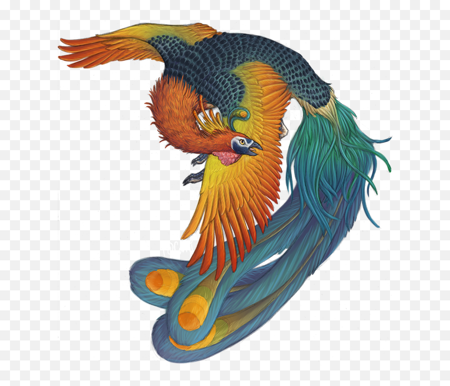 Phoenix Bird Harry Potter - Fenghuang Monster Full Size Bird Feng Huang Png,Phoenix Bird Png