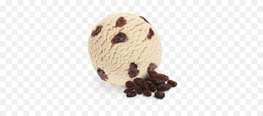 Classic U2013 Raisin Grandeur - Rum Raisin Ice Cream Png,Ice Cream Scoop Png