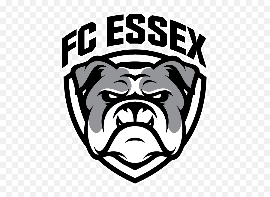 Home Page - Fc Essex Bulldogs Logo For Cheer Dance Squad Png,Bull Dog Icon