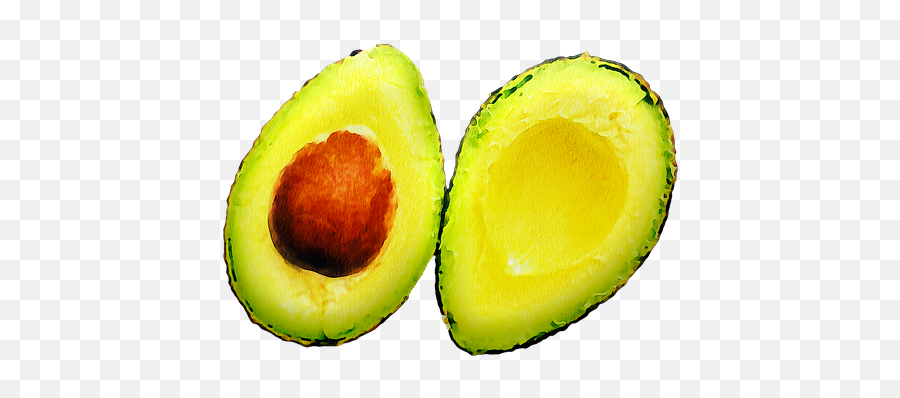 100 Free Avocado U0026 Food Illustrations - Avacado No Copyright Png,Avocado Icon