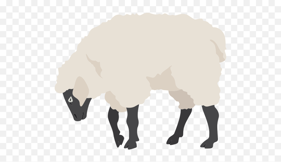 Dmytrobosnak U2013 Canva - Sheep Poses Png,Icon Farm Animals Set