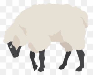 Dmytrobosnak U2013 Canva - Sheep Poses png